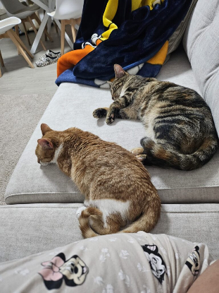 Adoption Grace et elvira