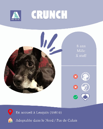 Adoption Crunch