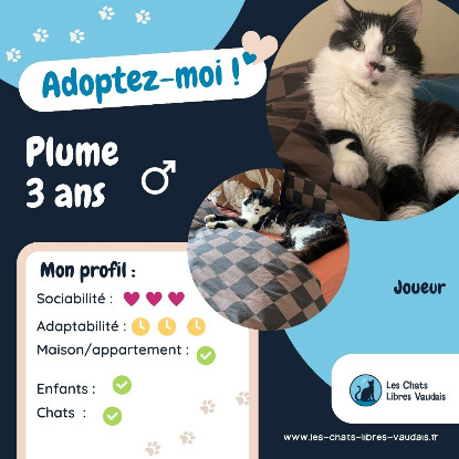 Adopter Plume