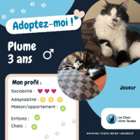 Adopter  chat : Plume
