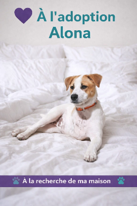 Adopter Alona