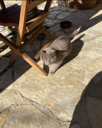 Adopter Mimine et rasmoket