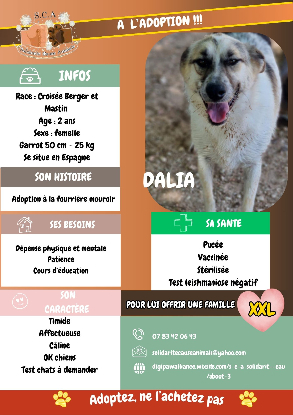 Adopter Dalia