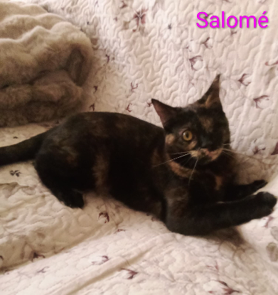 Adopter Maya / salomé