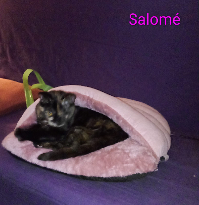 Adoption Maya / salomé