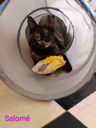 Adoption Maya / salomé