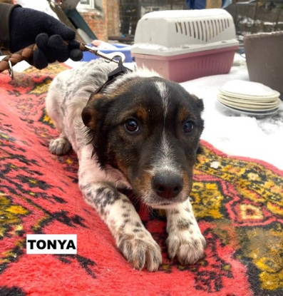 Adoption Tonya