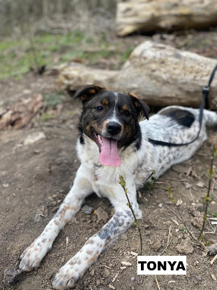 Adoption Tonya