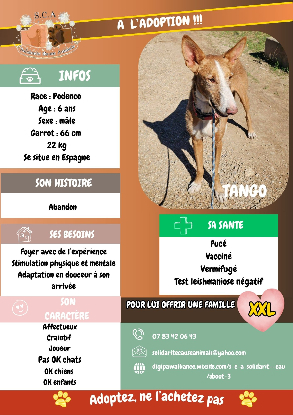 Adopter Tango