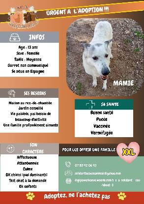 Adopter Mamie