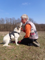 Adopter  chien : Lesly