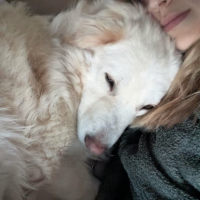 Adopter  chien : Leon