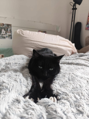 Adopter Yuna