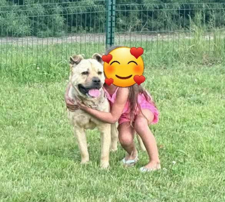 Adopter Rox