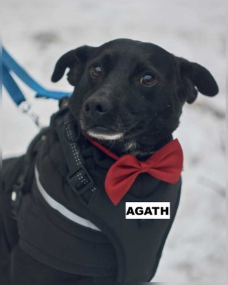 Adopter Agath