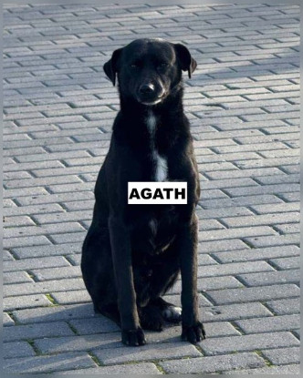 Adopter Agath