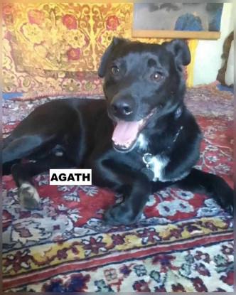 Adoption Agath
