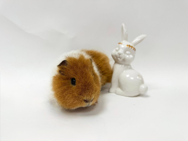 Adopter  NAC : Chouquette