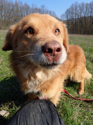 Adoption Lilian