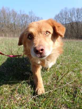 Adoption Lilian