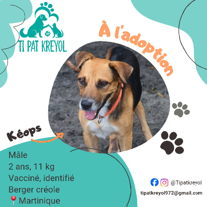 Adopter Keops