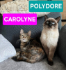 Carolyne et polydore