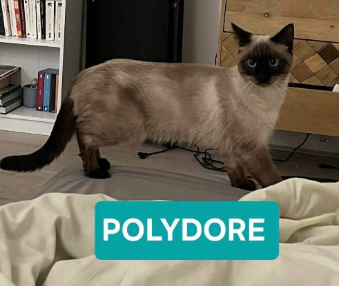 Adopter Carolyne et polydore