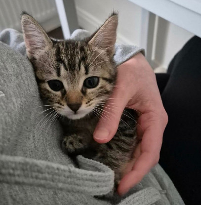 Adoption Daphné et éloïse