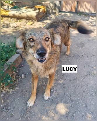 Adopter Lucy se toruve