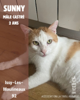 Adopter  chat : Sunny