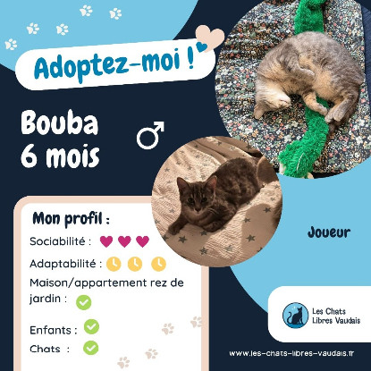 Adopter Bouba