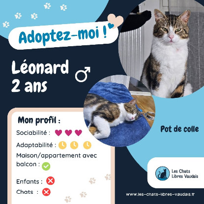 Adopter Leonard