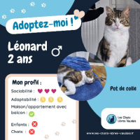 Adopter  chat : Leonard