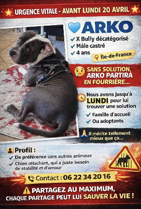 Adopter Aider arko