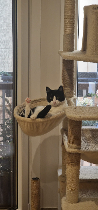 Adopter Oscar et betty