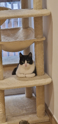 Adopter Oscar et betty