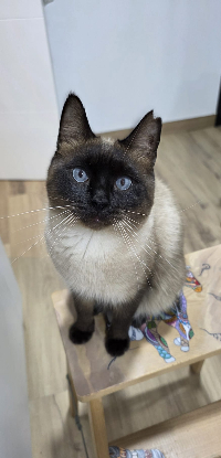 Adoption Oscar et betty