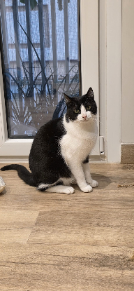 Adopter Oscar et betty