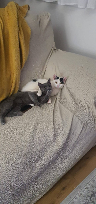 Adopter Margot & louise