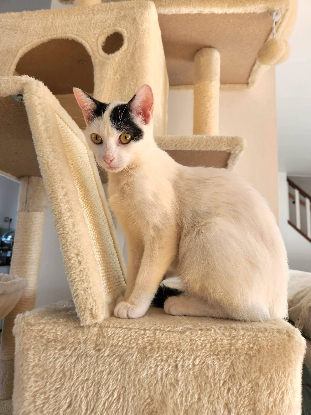 Adopter Margot & louise