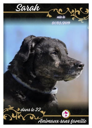 Adopter Sarah