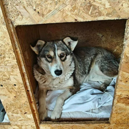 Adopter Hope
