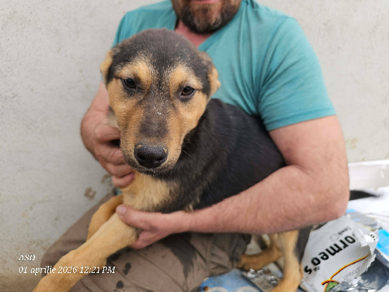 Adopter Jasmine