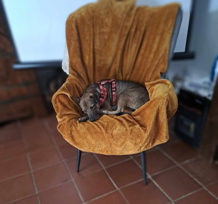 Adopter Pepsi