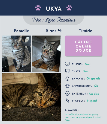 Adopter Ukya