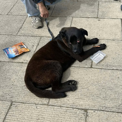 Adopter Baguayrha