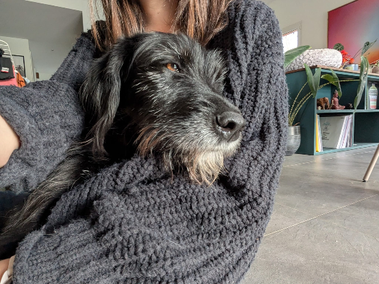 Adopter Raven