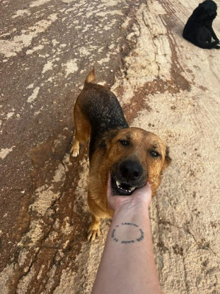 Adopter Jimmy