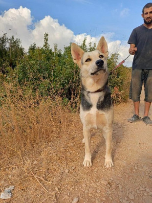 Adopter Fiona