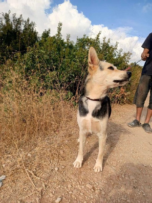 Adoption Fiona